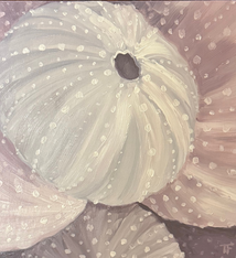 Teresa Field SEA URCHINS IV, 8X8 ORIGINAL OIL ON WOOD PANEL