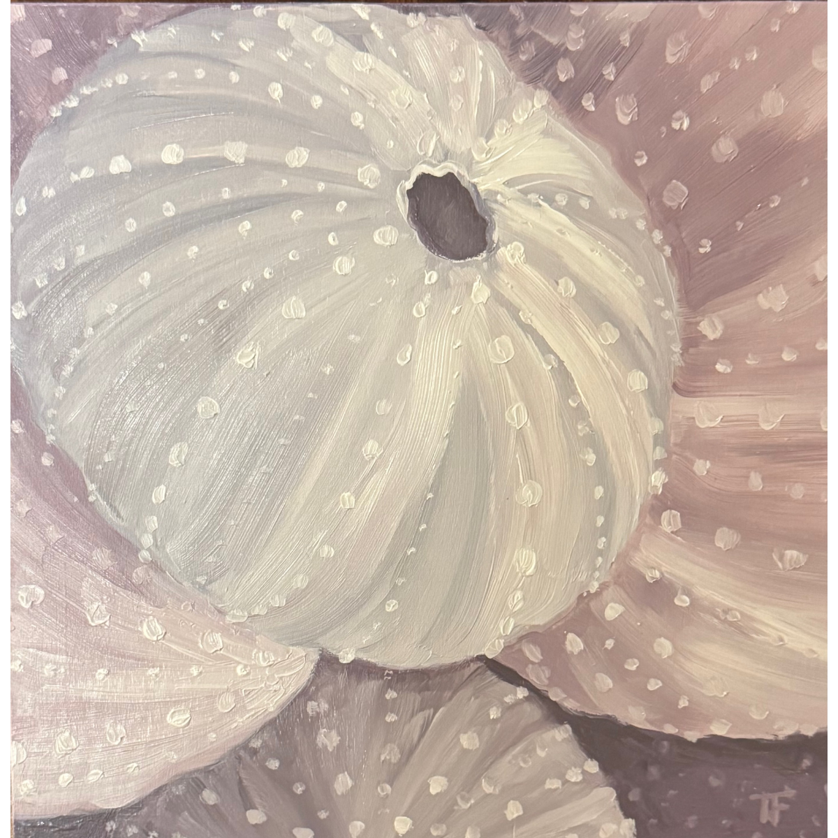 Teresa Field SEA URCHINS IV, 8X8 ORIGINAL OIL ON WOOD PANEL