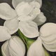 Teresa Field GARDENIAS AT NIGHT I,  8X8 ORIGINAL OIL ON CRADLED WOOD PANEL