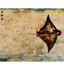 John Baran EAGLE RAY WITH MAP, 9X12 PRINT ON WOOD