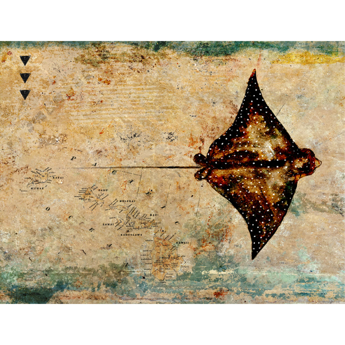John Baran EAGLE RAY WITH MAP, 9X12 PRINT ON WOOD