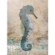 John Baran BLUE SEA HORSE, 9X12 PRINT ON WOOD