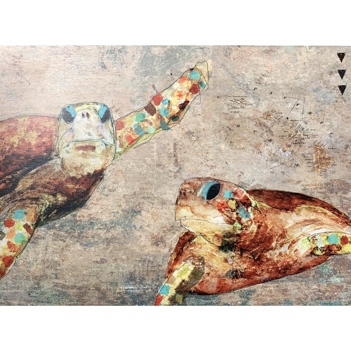 John Baran HONU PAIR, 9X12 PRINT ON WOOD