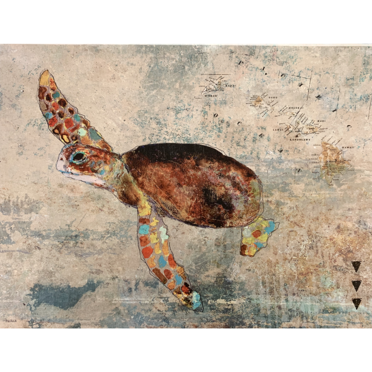 John Baran HAWAIIAN HONU 2.0 WITH MAP, 9X12 PRINT ON WOOD