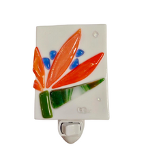 Shelly Batha NIGHT LIGHT: BIRD OF PARADISE