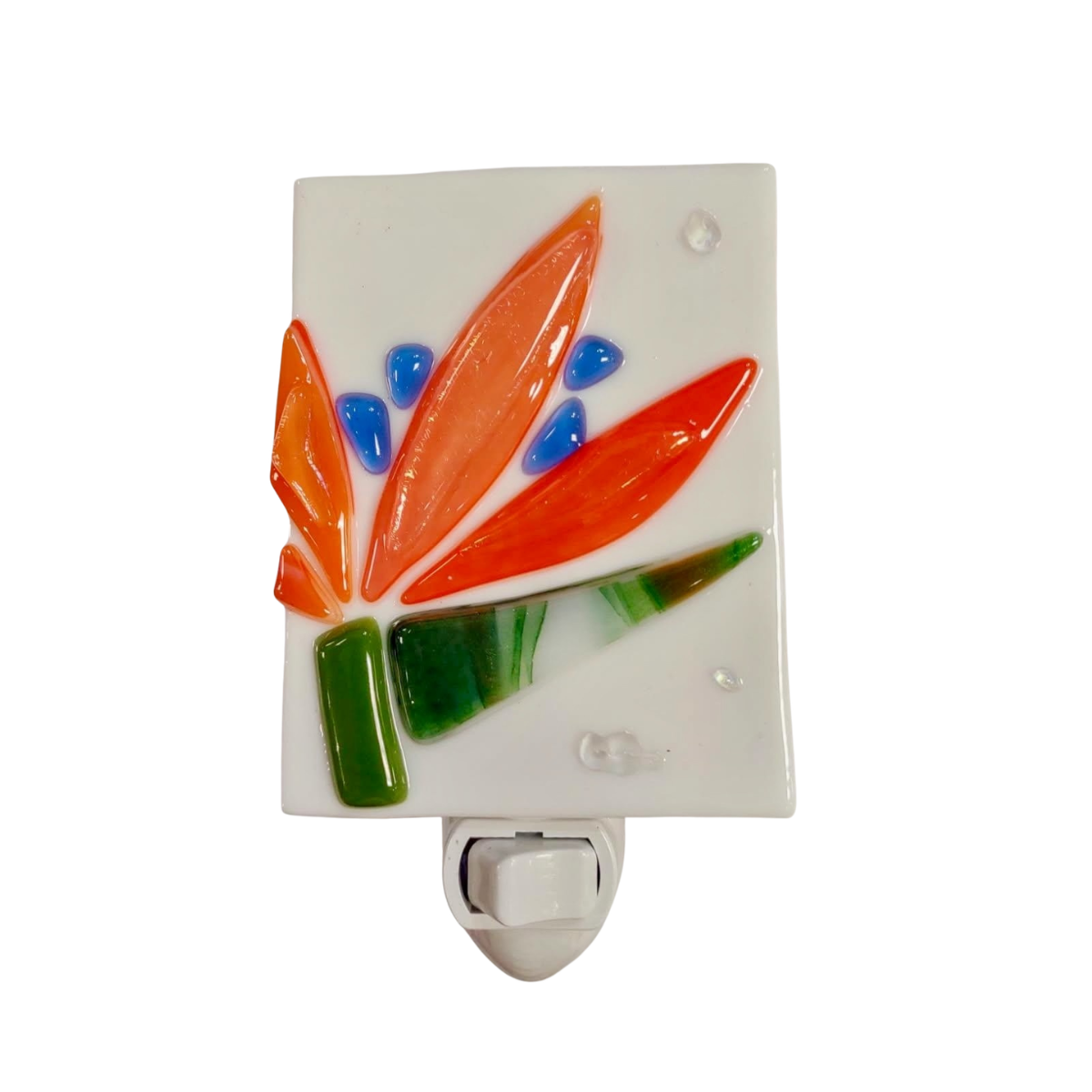 Shelly Batha NIGHT LIGHT: BIRD OF PARADISE