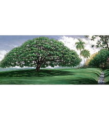 Carol Collette Moanalua Gardens 7×16 Gallery Wrap Canvas by Carol Collette