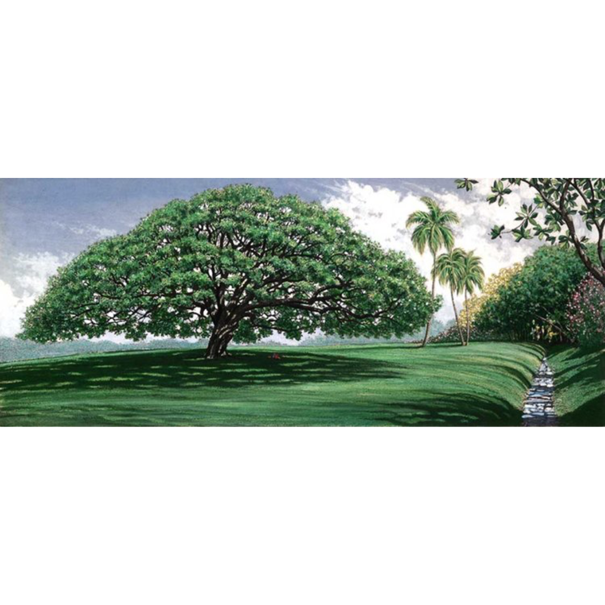 Carol Collette Moanalua Gardens 7×16 Gallery Wrap Canvas by Carol Collette