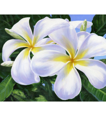 Carol Collette Joyful Morning 11×14 Gallery Wrap Canvas by Carol Collette