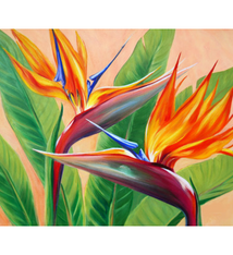 Carol Collette Tropical Flirtation, 11”x14” Gallery Wrap Giclee on Canvas