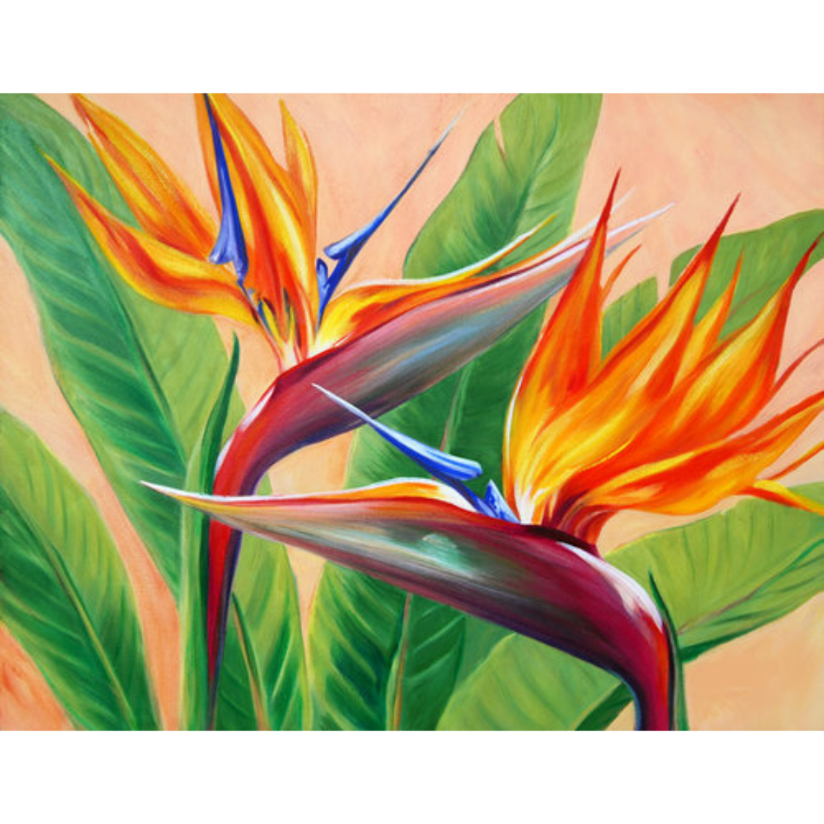 Carol Collette Tropical Flirtation, 11”x14” Gallery Wrap Giclee on Canvas