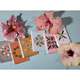 Lola Pilar 6 PACK HELLO CARDS,  8X10 MATTED PHOTO PRINT