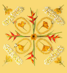 Lola Pilar CUP OF GOLD, 16X16 MATTED PHOTO PRINT