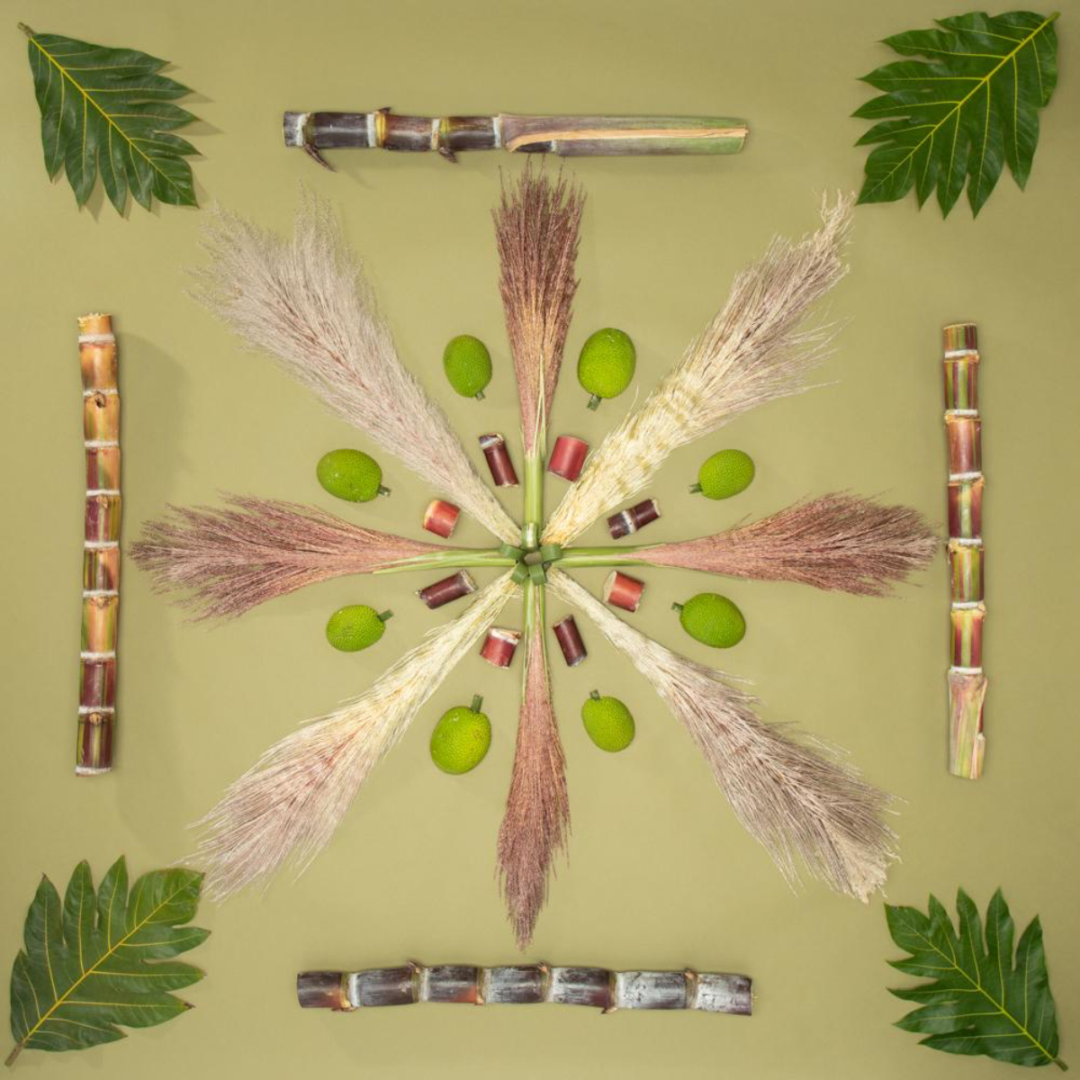 Lola Pilar KUNIA KO, 16X16 MATTED PHOTO PRINT