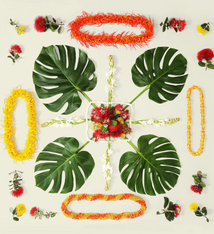 Lola Pilar O.HI.A MONSTERA, 16X16 MATTED PHOTO PRINT