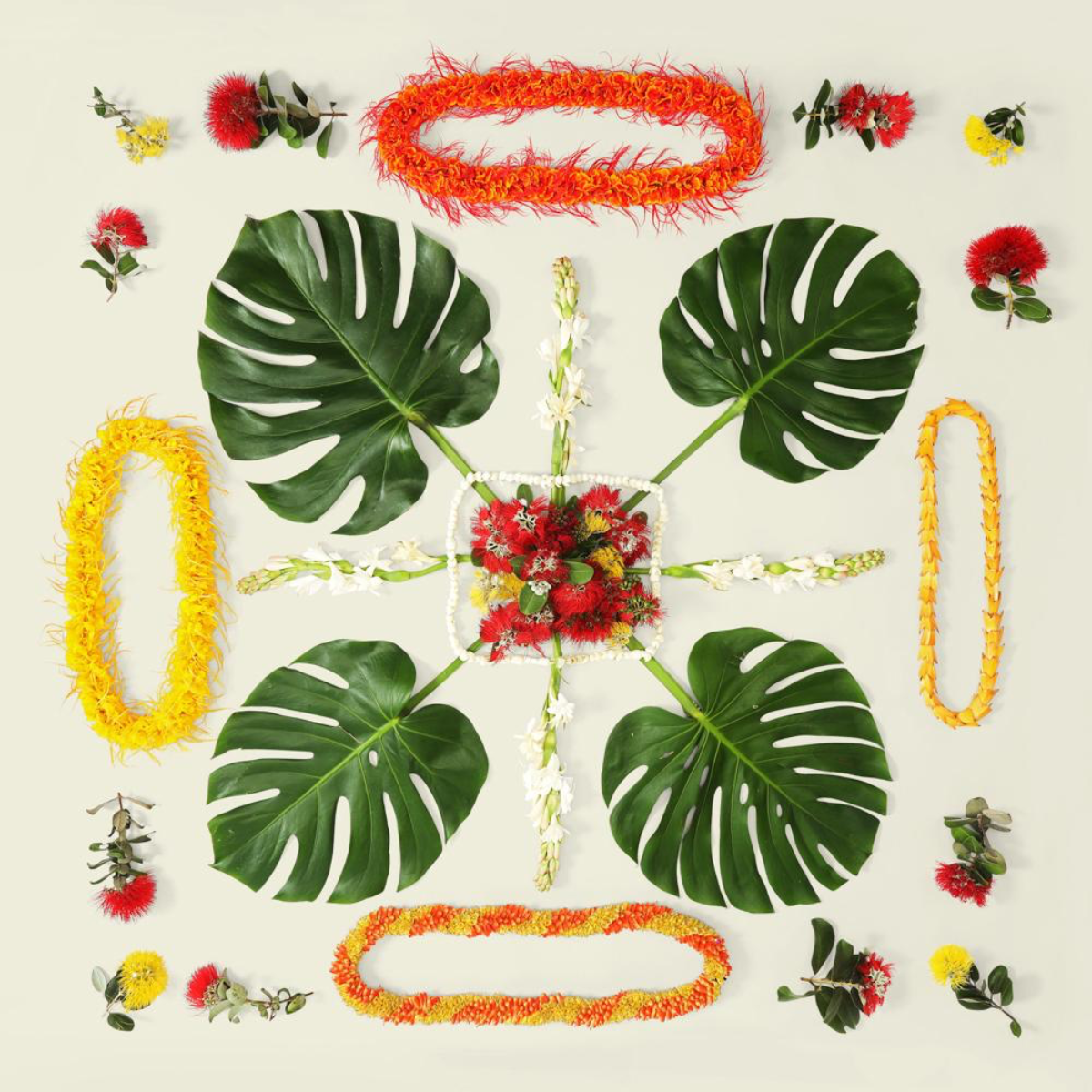 Lola Pilar O.HI.A MONSTERA, 16X16 MATTED PHOTO PRINT