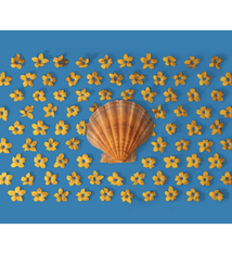 Lola Pilar SUNGLOW, 8X10 MATTED PHOTO PRINT