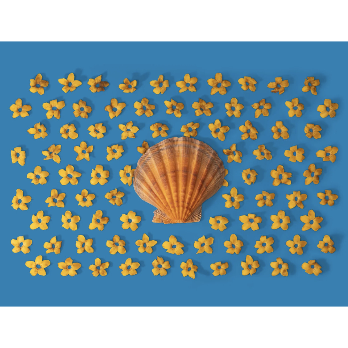 Lola Pilar SUNGLOW, 8X10 MATTED PHOTO PRINT