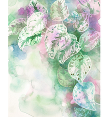 Janet Meinke-Lau Clarity 11x14 Print by Janet Meinke-Lau