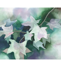 Janet Meinke-Lau Find the Light 11x14 Print by Janet Meinke-Lau