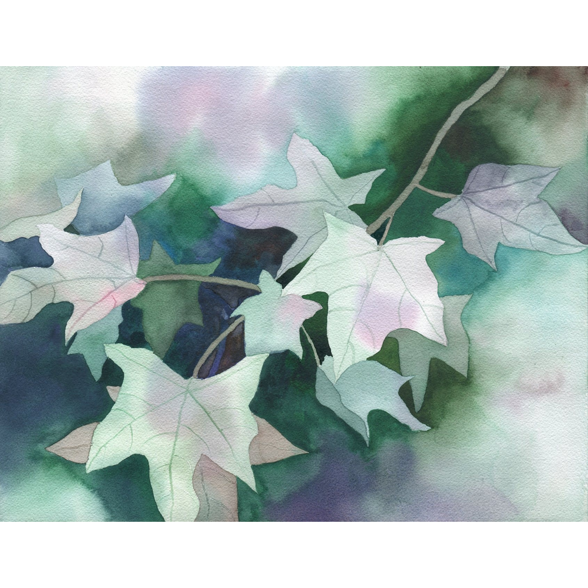 Janet Meinke-Lau Find the Light 11x14 Print by Janet Meinke-Lau