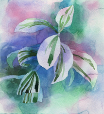 Janet Meinke-Lau Rest 12x12 Print by Janet Meinke-Lau