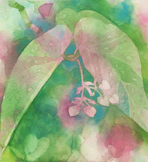 Janet Meinke-Lau Self-Love 12x12 Print by Janet Meinke-Lau