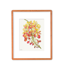 Ewa Mosc Rainbow Shower Bloom – Framed Original Watercolor & Acrylic by Ewa Mosc | Magnolia Hawaii