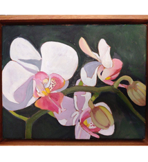 Ellen Michino Pink Orchid Spray – Original Oil Painting by Ellen Michino (8×10 Framed)