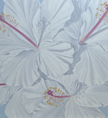 Teresa Field White Hibiscus – Original Oil Painting on Canvas by Terry Field (36×36)