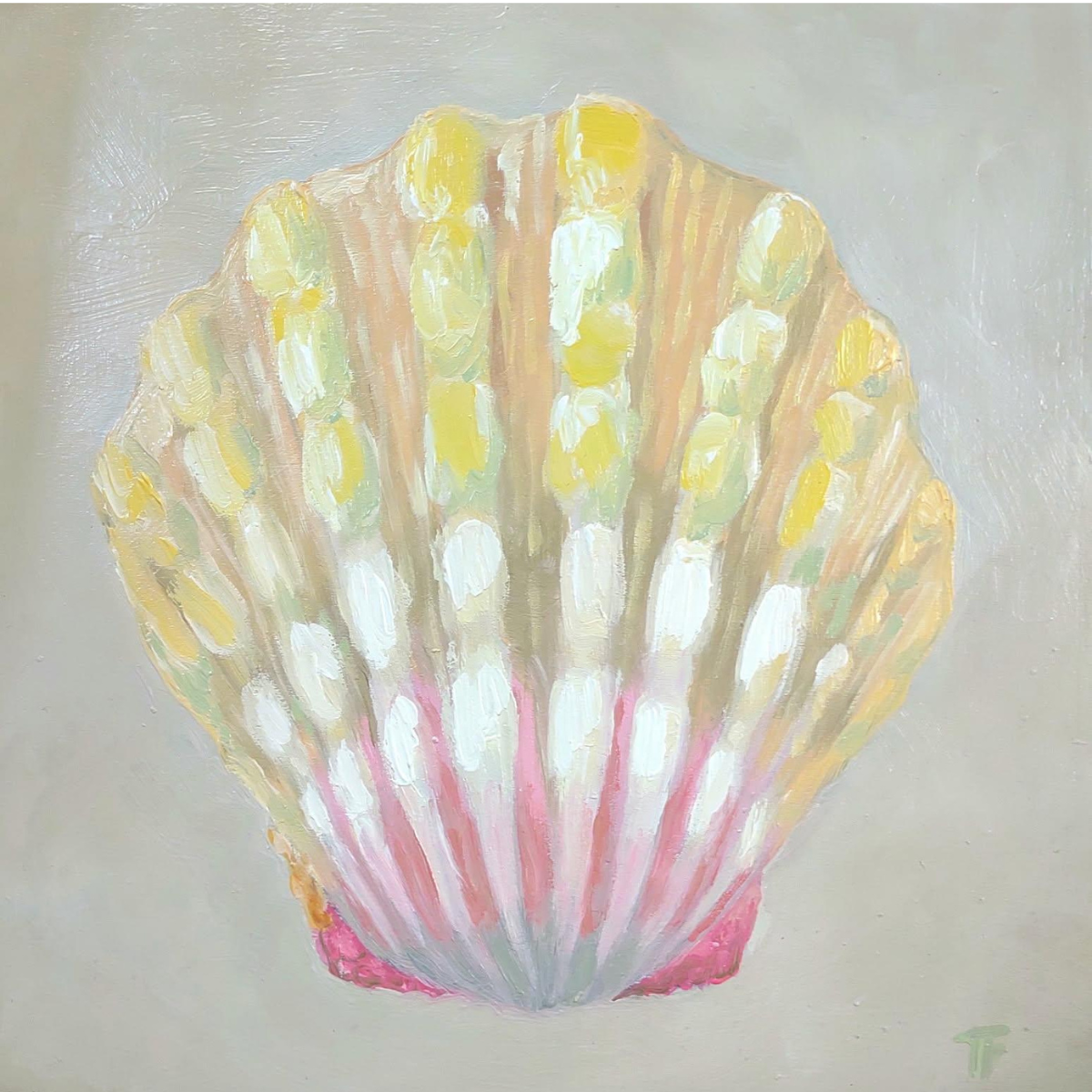 Teresa Field Sunrise Shell Study – Original Oil on Wood Panel by Terry Field (8×8)