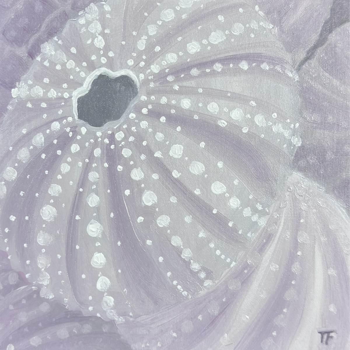 Teresa Field Sea Urchins VI – Original Oil on Wood Panel (8×8)
