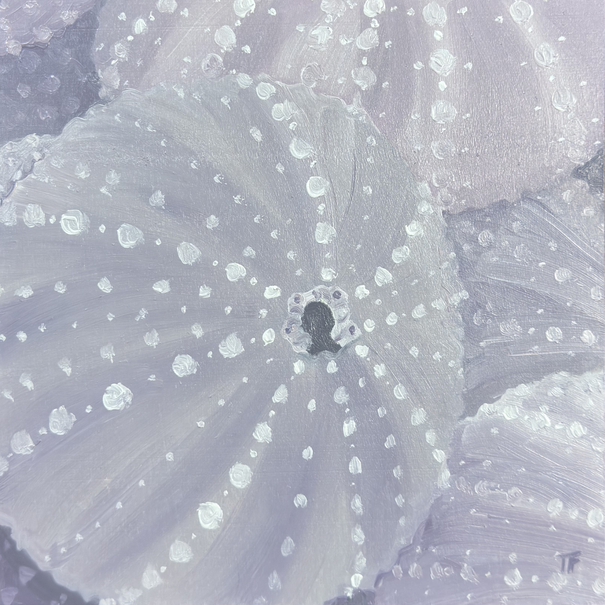 Teresa Field Sea Urchins V – Original Oil on Wood Panel by Terry Field (8×8)