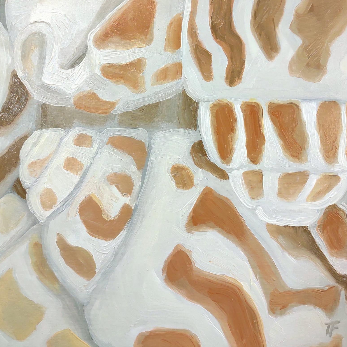 Teresa Field Island Shells III Study – Original Oil on Wood Panel by Terry Field (8×8)