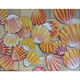 Ellen Michino SUNRISE SHELL COLLECTION, 16X20 FRAMED