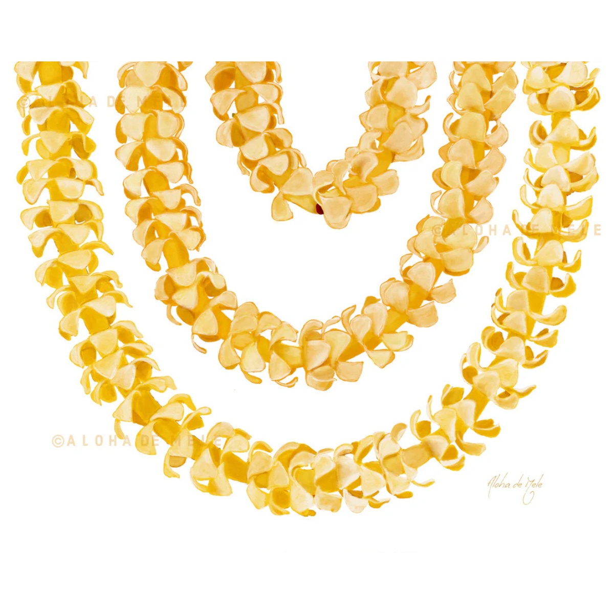 Aloha de Mele Lei Ers 11x10 Matted Print by Aloha de Mele