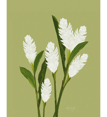 Aloha de Mele Awapuhi 11x14 Matted Print by Aloha de Mele