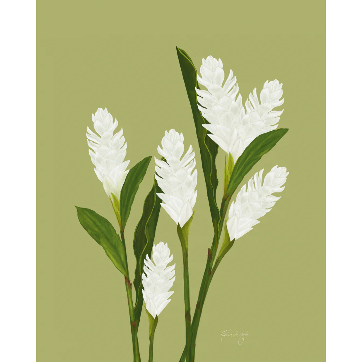 Aloha de Mele Awapuhi 11x14 Matted Print by Aloha de Mele