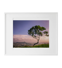 Kelly Rice Kelly Rice Golden Hour Diamond Head Matted Print 11 x 14