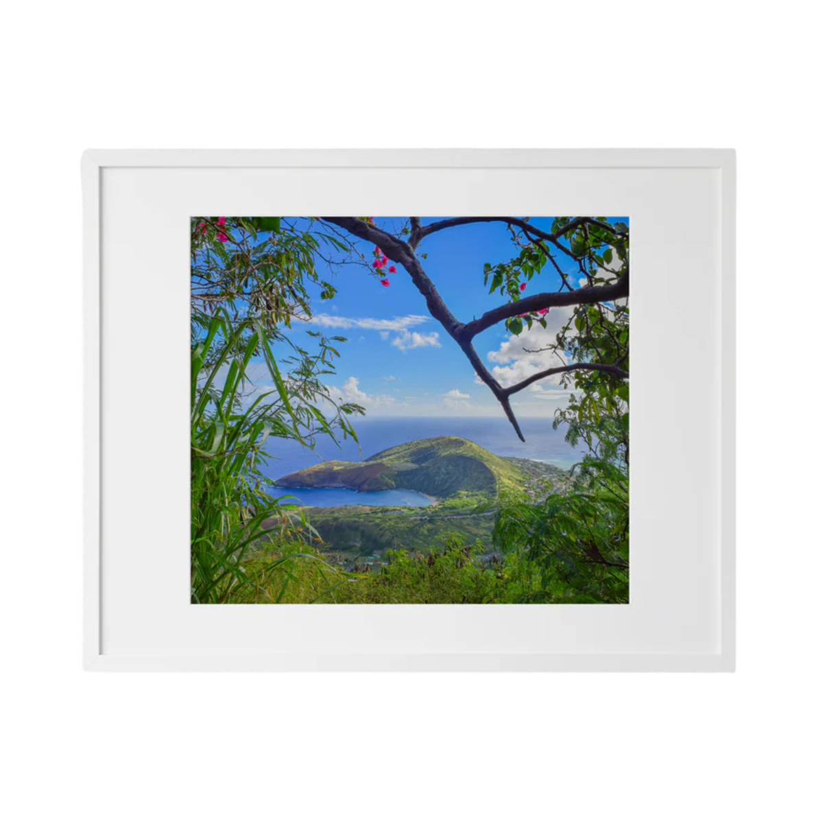 Kelly Rice Kelly Rice Life Is But a Dream Hanauma Bay Print 11 x 14