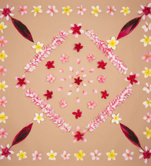 Lola Pilar Lola Pilar Frangipani Lane Matted Print 8 x 10 Floral Photo