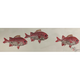 Brandon Tengan MENPACHIS - GYOTAKU PRINT - 7X17