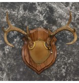 DOMINION OUTDOORS WHITETAIL DEER PLAQUE MOUNT