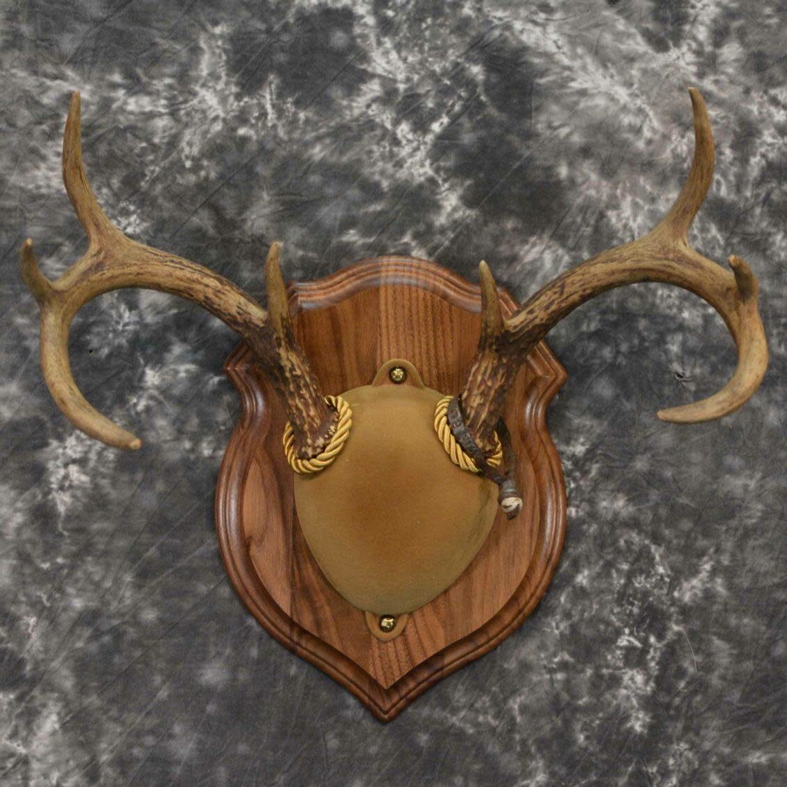 DOMINION OUTDOORS WHITETAIL DEER PLAQUE MOUNT