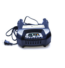 ION ION BATTERY CHARGER