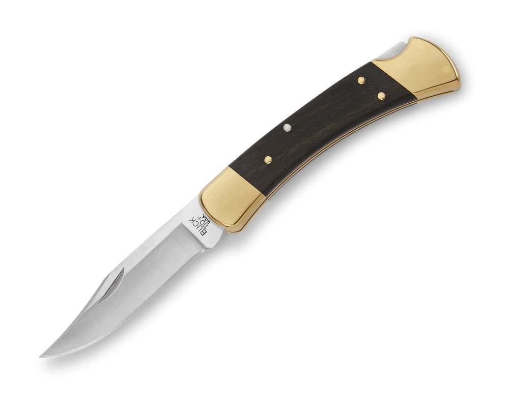 BUCK BUCK 110 FOLDING HUNTER KNIFE