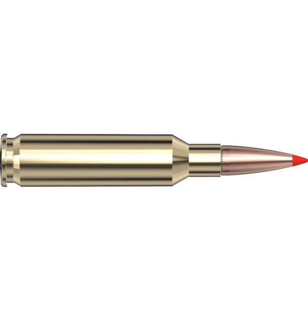HORNADY HORNADY AMERICAN WHITETAIL TIPPED AMMUNITION, 6.5 CREEDMOOR, 129GR SST, 20 ROUNDS