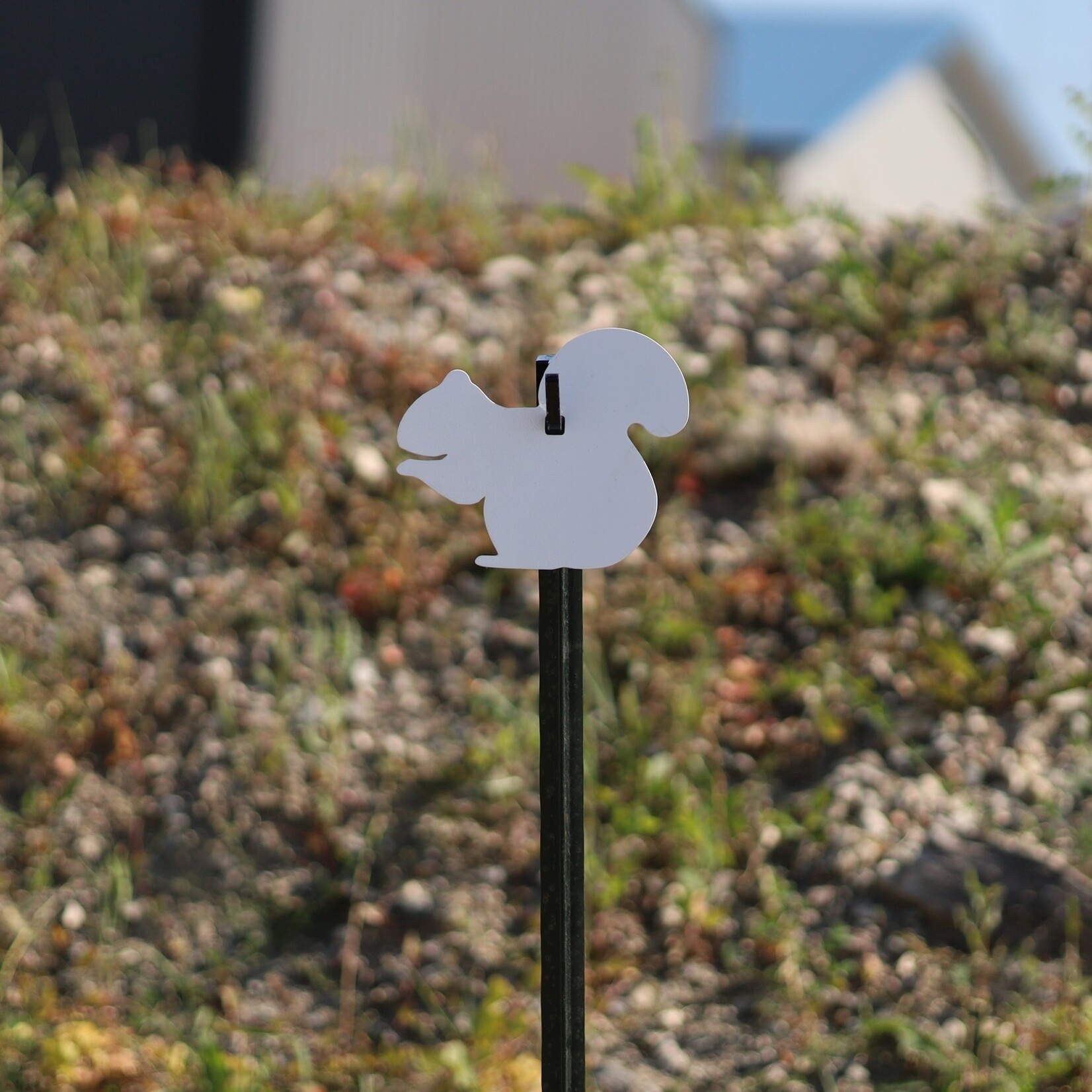 ENGAGE PRECISION ENGAGE PRECISION AR500 STEEL RIFLE TARGET SILHOUETTE, 3/8”, FULL SIZE SQUIRREL, WHITE