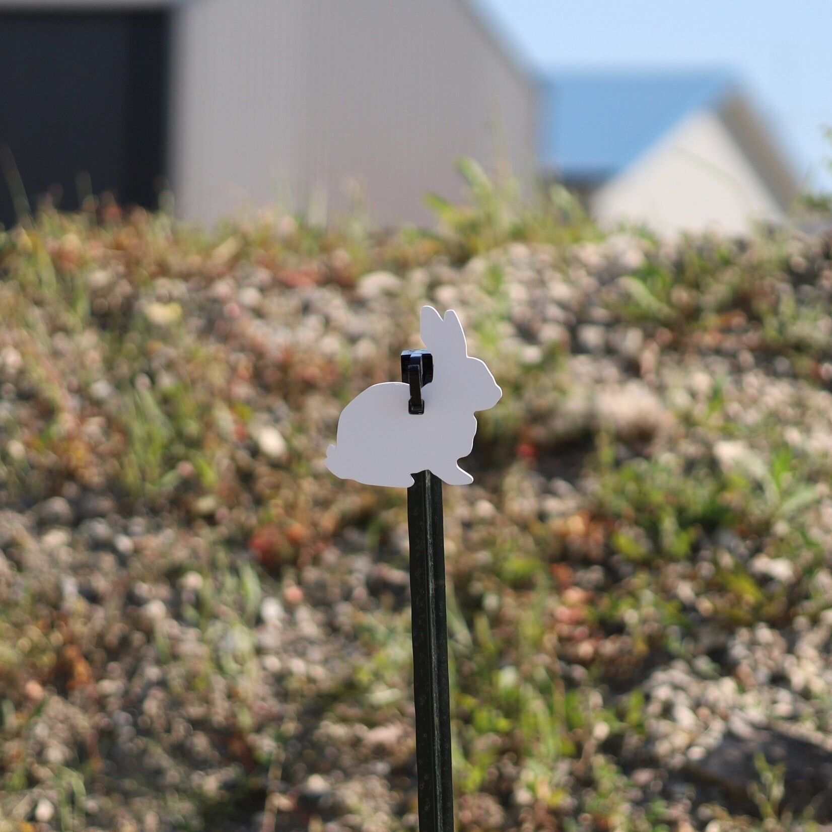 ENGAGE PRECISION ENGAGE PRECISION AR500 STEEL RIFLE TARGET SILHOUETTE, 3/8”, 2/3 SIZE BUSH BUNNY, WHITE