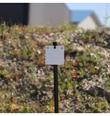 ENGAGE PRECISION ENGAGE PRECISION AR500 STEEL RIMFIRE TARGET GONG, SQUARE/DIAMOND, 1/4”, 6”, WHITE